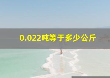 0.022吨等于多少公斤