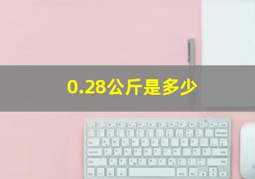 0.28公斤是多少