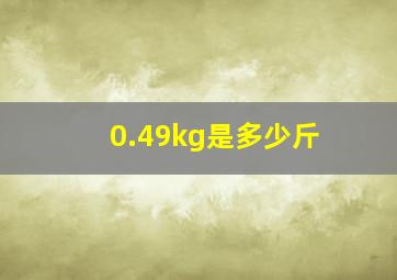 0.49kg是多少斤