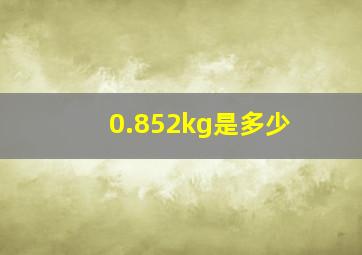 0.852kg是多少