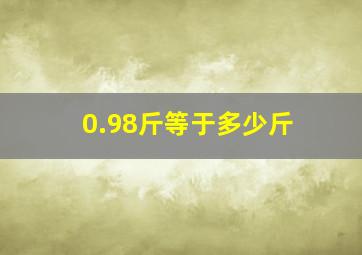 0.98斤等于多少斤