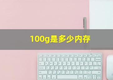 100g是多少内存