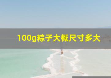 100g粽子大概尺寸多大