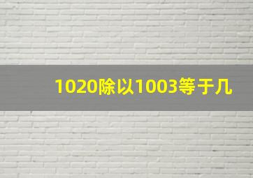 1020除以1003等于几