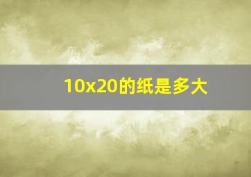 10x20的纸是多大