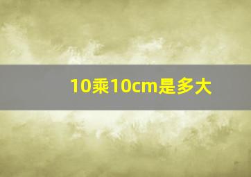 10乘10cm是多大