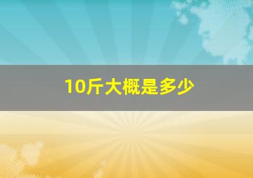 10斤大概是多少