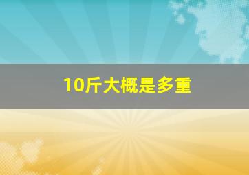 10斤大概是多重