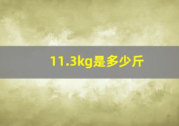 11.3kg是多少斤