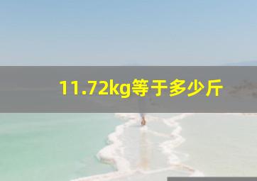 11.72kg等于多少斤