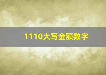 1110大写金额数字