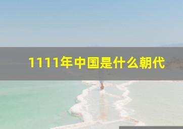 1111年中国是什么朝代