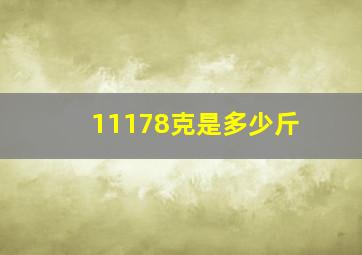 11178克是多少斤