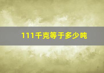 111千克等于多少吨