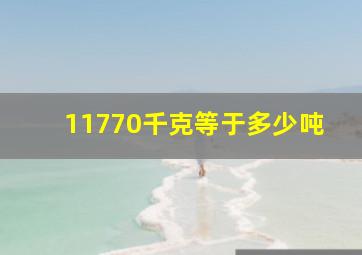 11770千克等于多少吨