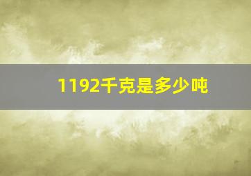 1192千克是多少吨