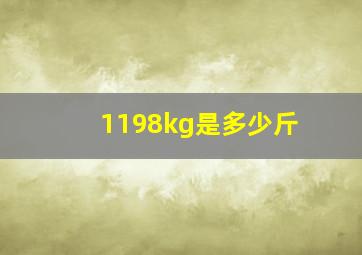 1198kg是多少斤