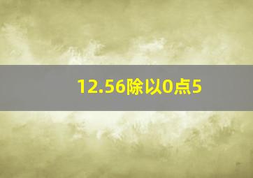 12.56除以0点5