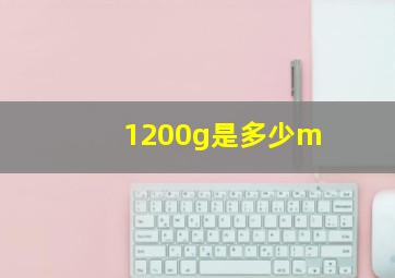 1200g是多少m