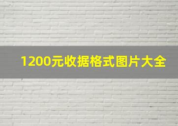 1200元收据格式图片大全