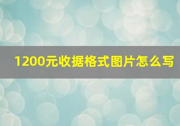 1200元收据格式图片怎么写