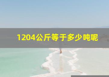 1204公斤等于多少吨呢