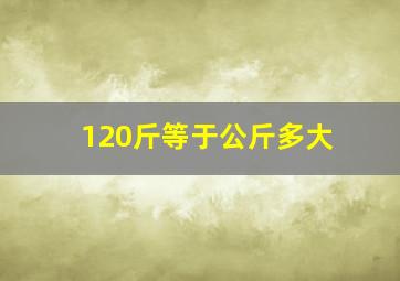 120斤等于公斤多大