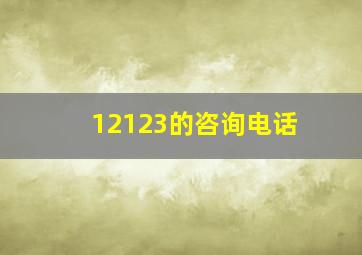 12123的咨询电话