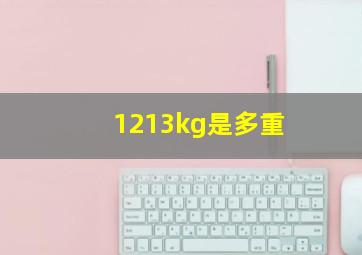 1213kg是多重