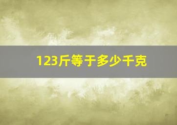 123斤等于多少千克