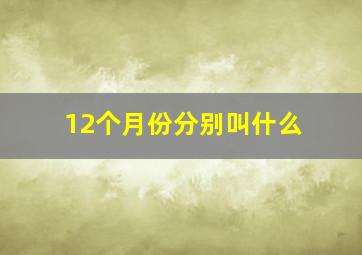 12个月份分别叫什么