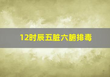 12时辰五脏六腑排毒