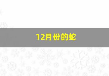 12月份的蛇