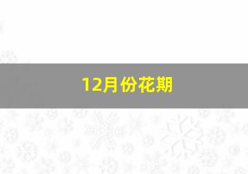 12月份花期