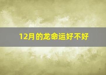 12月的龙命运好不好