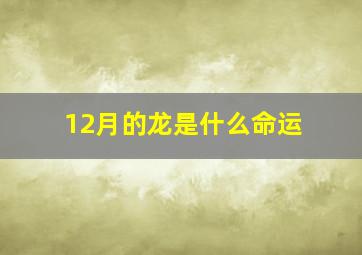 12月的龙是什么命运