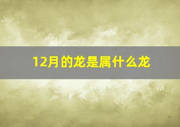 12月的龙是属什么龙