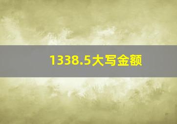 1338.5大写金额