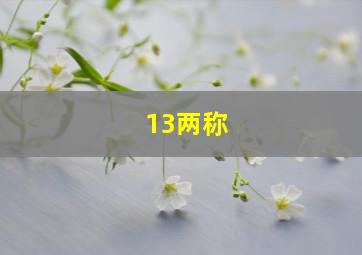 13两称