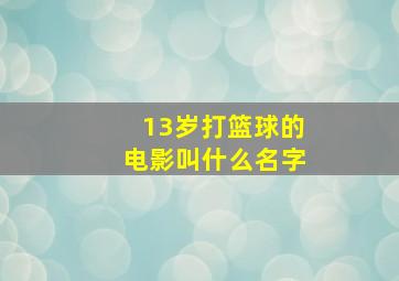 13岁打篮球的电影叫什么名字