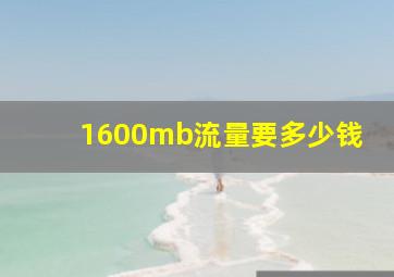 1600mb流量要多少钱