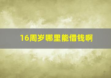 16周岁哪里能借钱啊