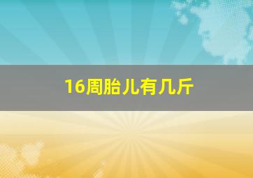 16周胎儿有几斤