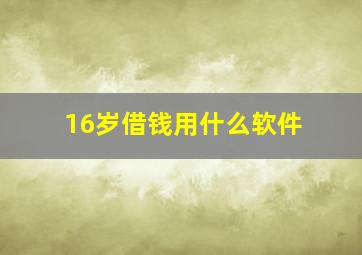 16岁借钱用什么软件