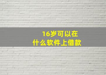 16岁可以在什么软件上借款