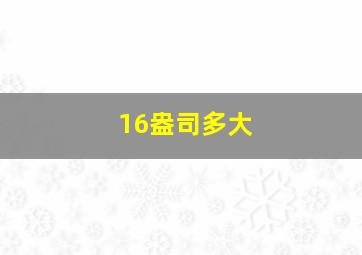 16盎司多大