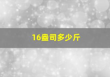 16盎司多少斤