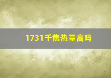 1731千焦热量高吗