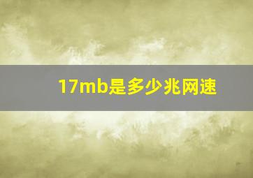 17mb是多少兆网速