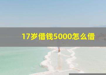 17岁借钱5000怎么借